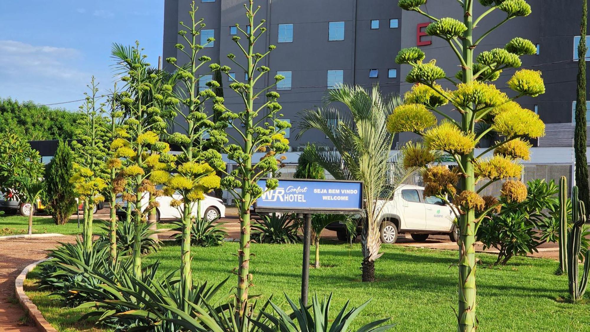 Wr Confort Hotel Campo Grande Zewnętrze zdjęcie